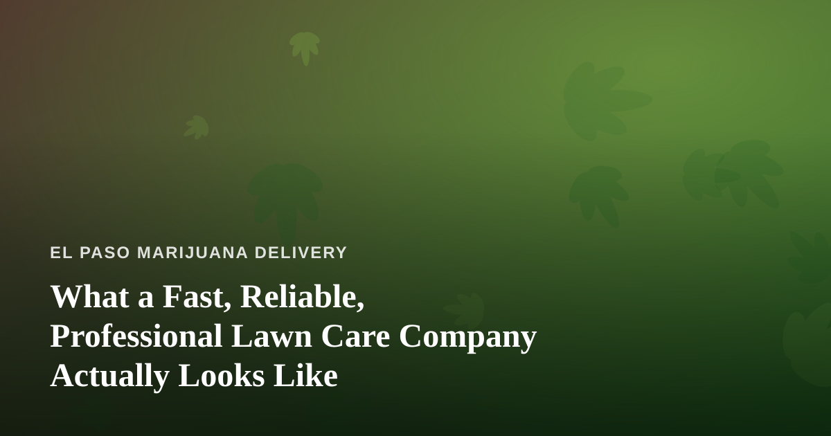 What a Fast, Reliable, Professional Lawn Care Company Actually Looks Like